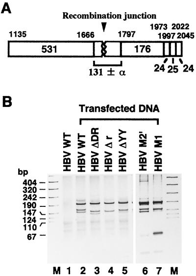 FIG. 5