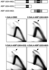 FIG. 5.
