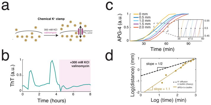 Extended Data Figure 3