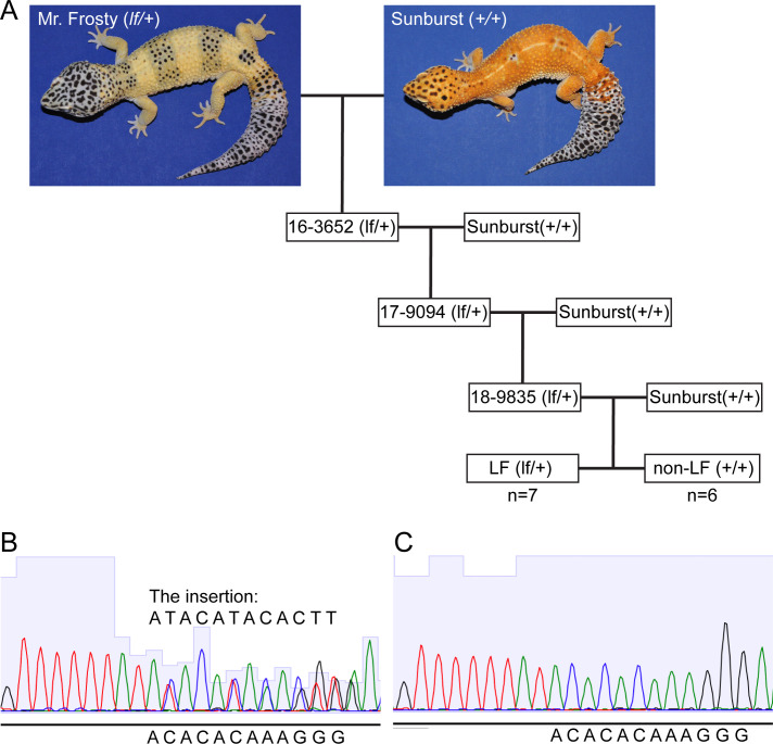 Fig 4