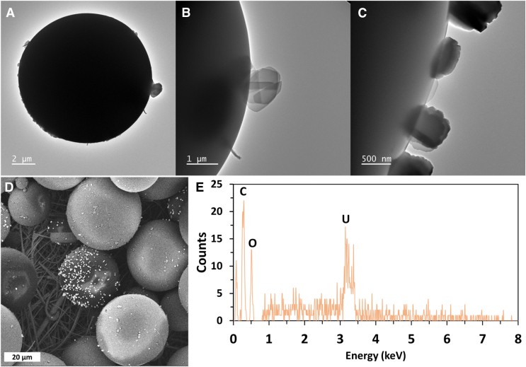 FIG. 4.