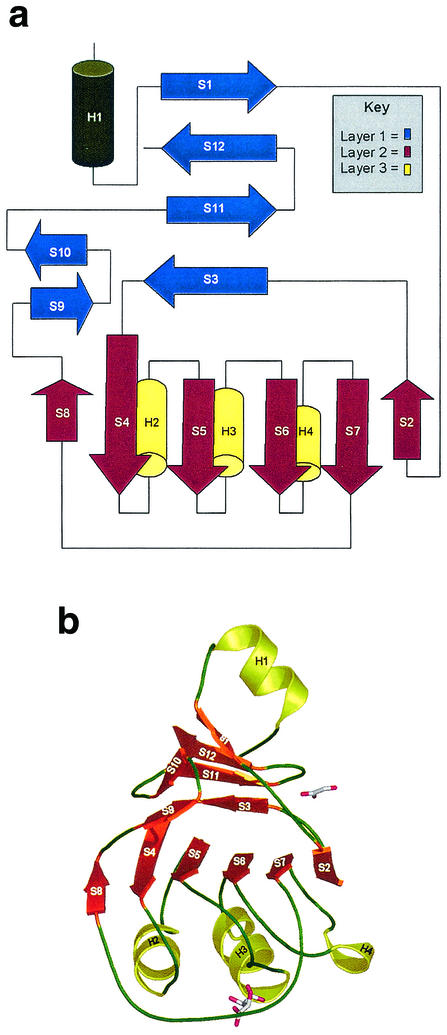 FIG. 2.