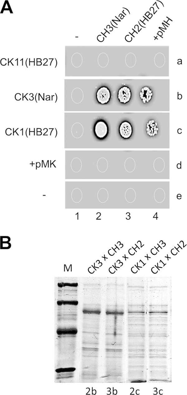 FIG 4