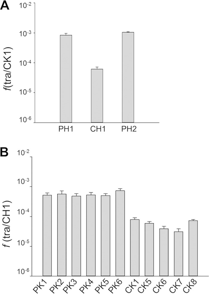 FIG 2