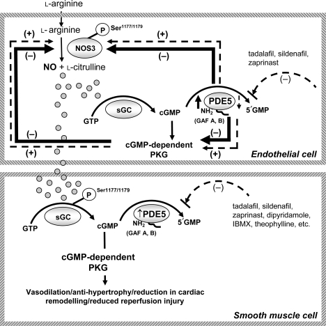 Figure 6