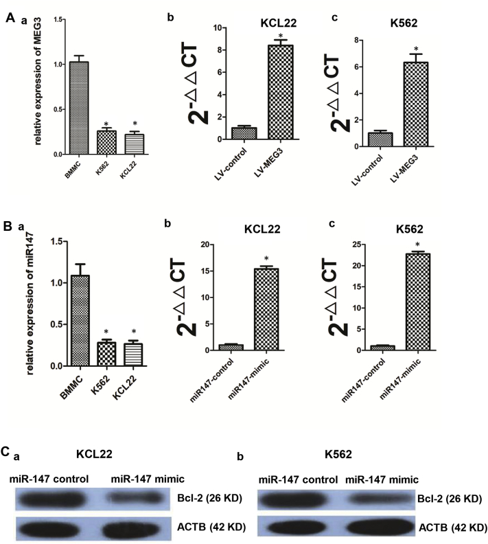 Supplementary Fig. 2