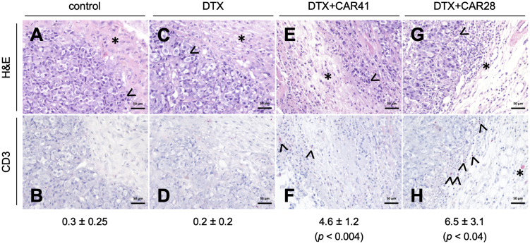 Figure 5