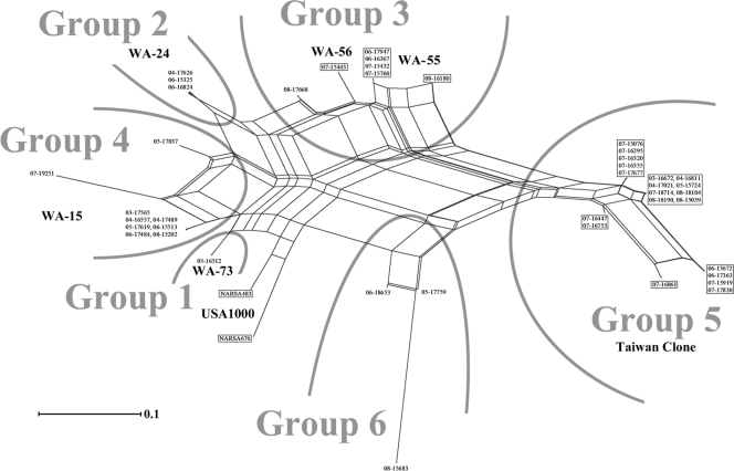 FIG. 2.