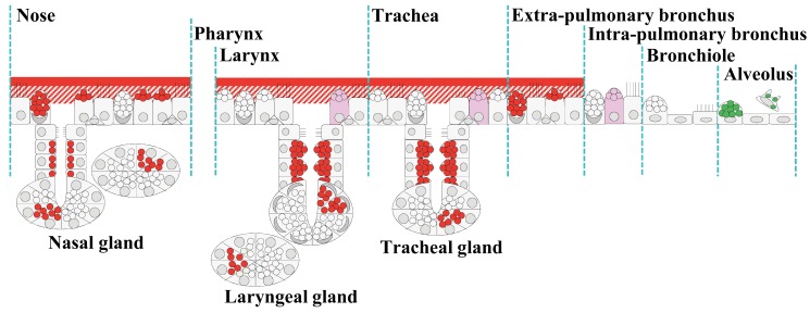 Fig. 8.