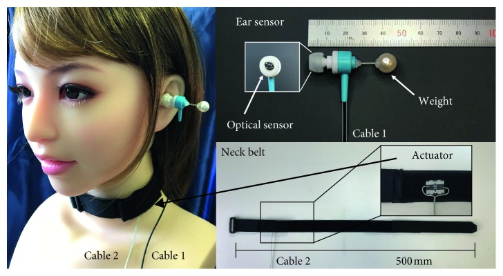 Figure 1