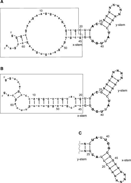 FIGURE 1.