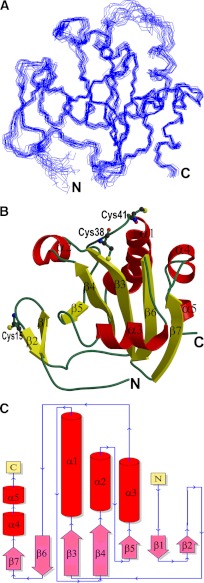 FIGURE 1.