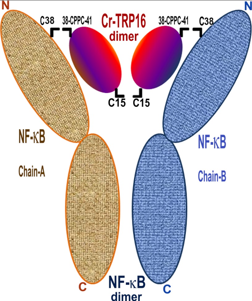 FIGURE 8.