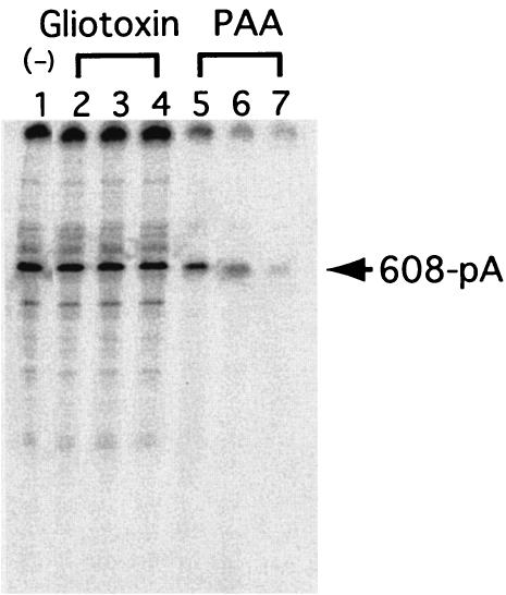 FIG. 6.