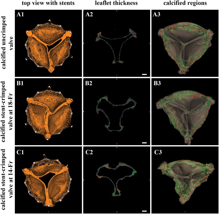 Figure 4: