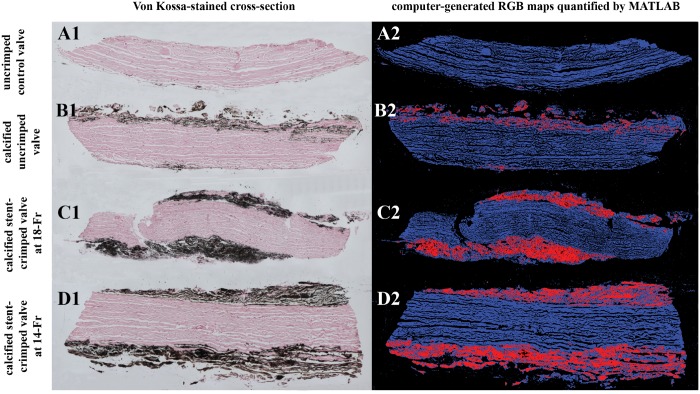 Figure 6: