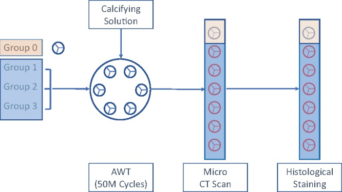 Figure 1: