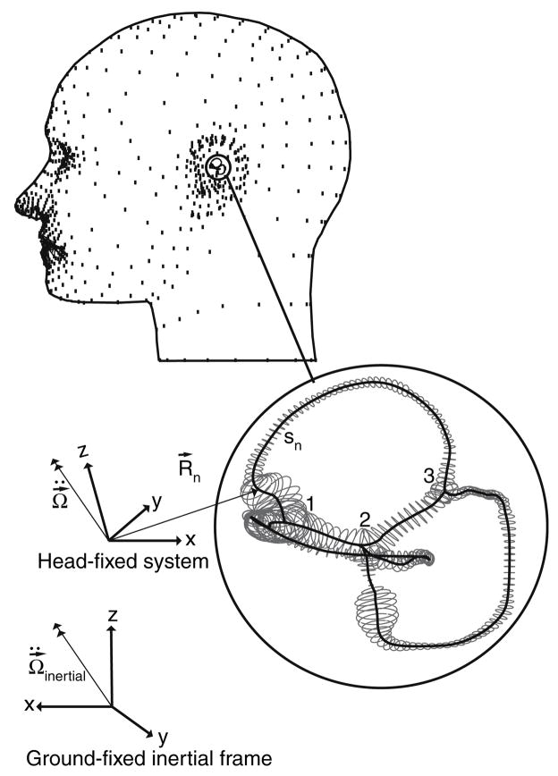 FIGURE 13