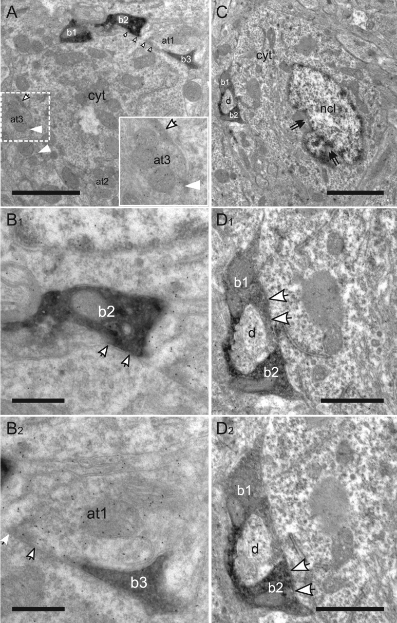 Figure 10.