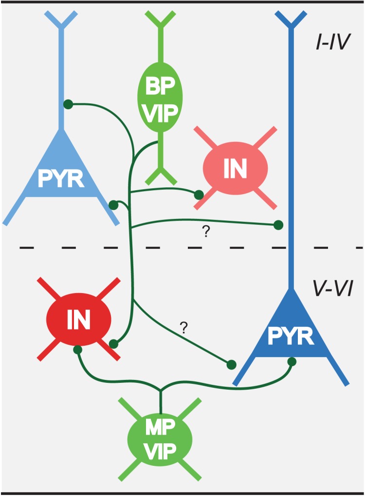 Figure 11.