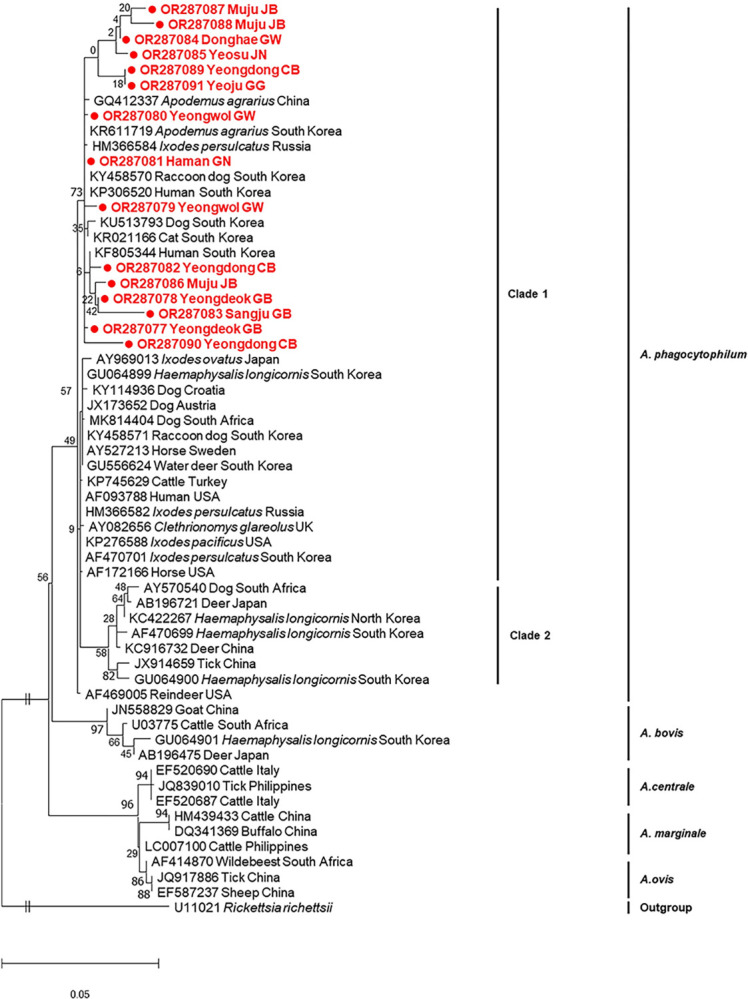 Fig 2