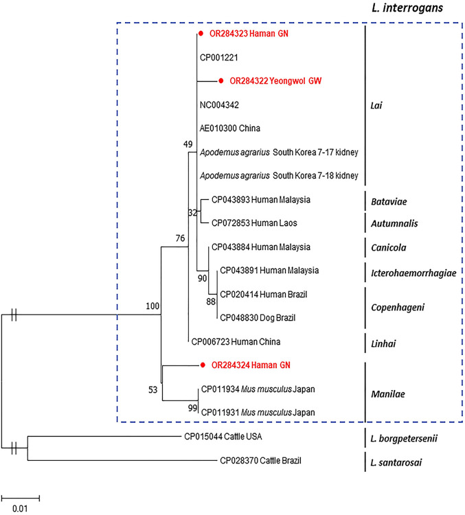 Fig 6