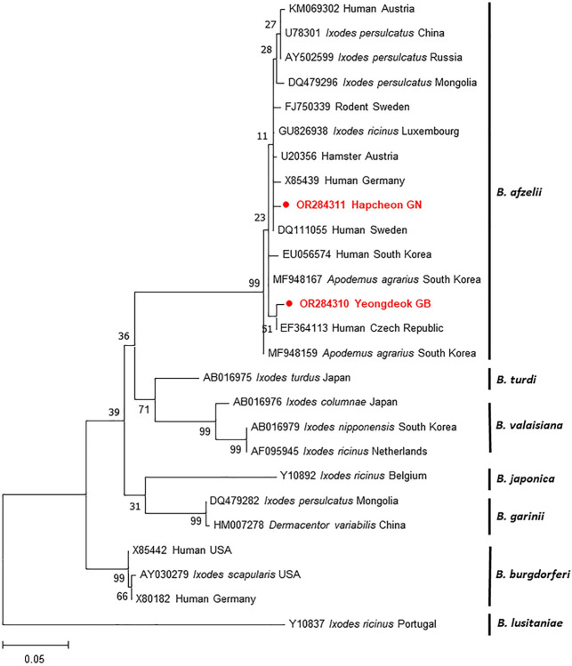 Fig 4