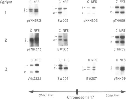 graphic file with name pnas01039-0214-a.jpg