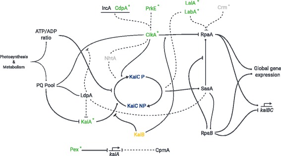 Fig. 7