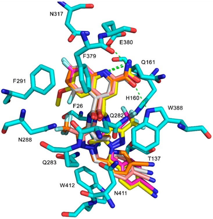 Figure 6