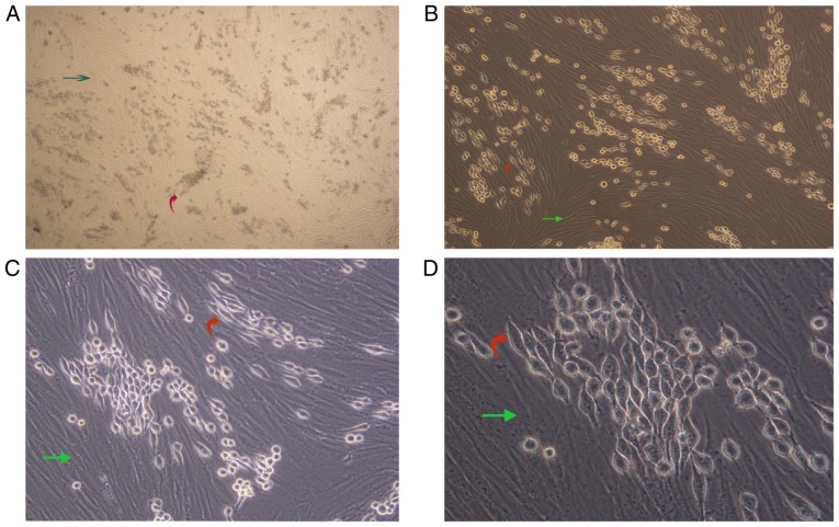 Figure 2.