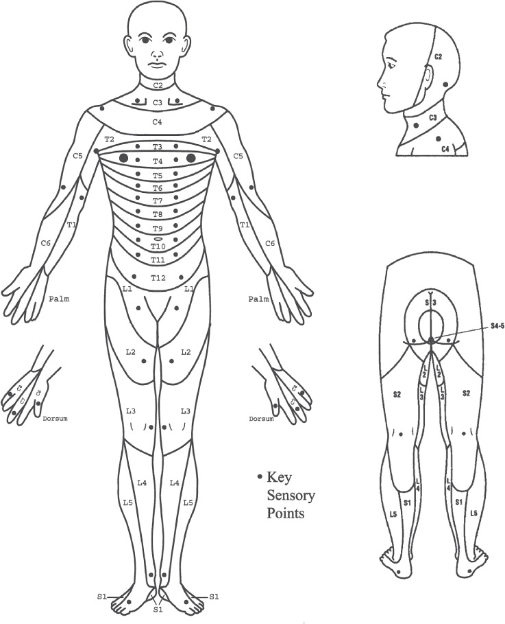 Figure 2: