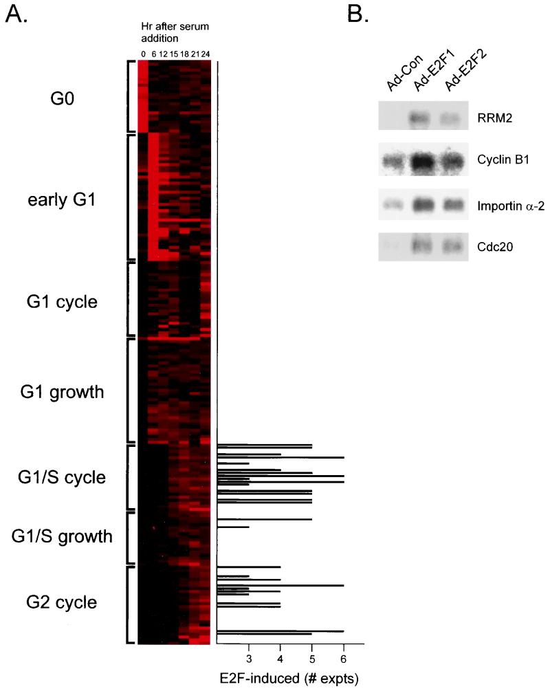 FIG. 5