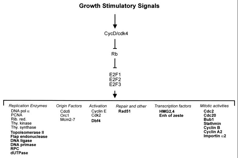 FIG. 6