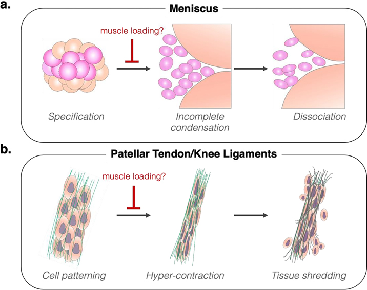 Figure 6: