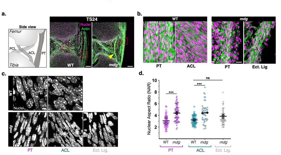 Figure 4: