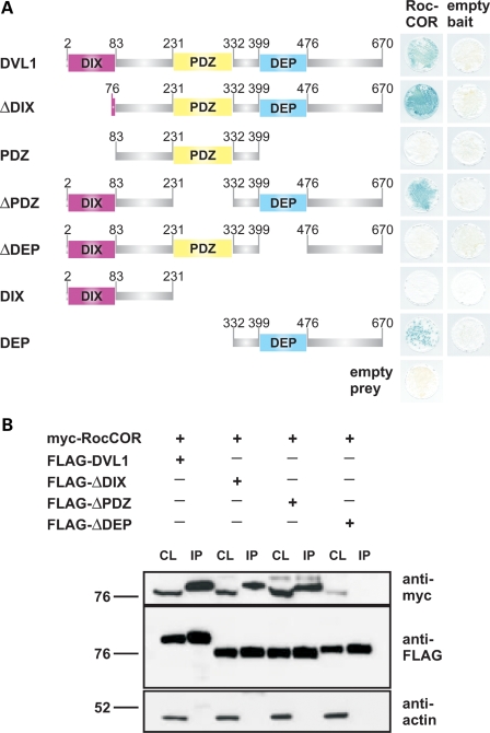 Figure 2.