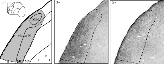 Figure 1.