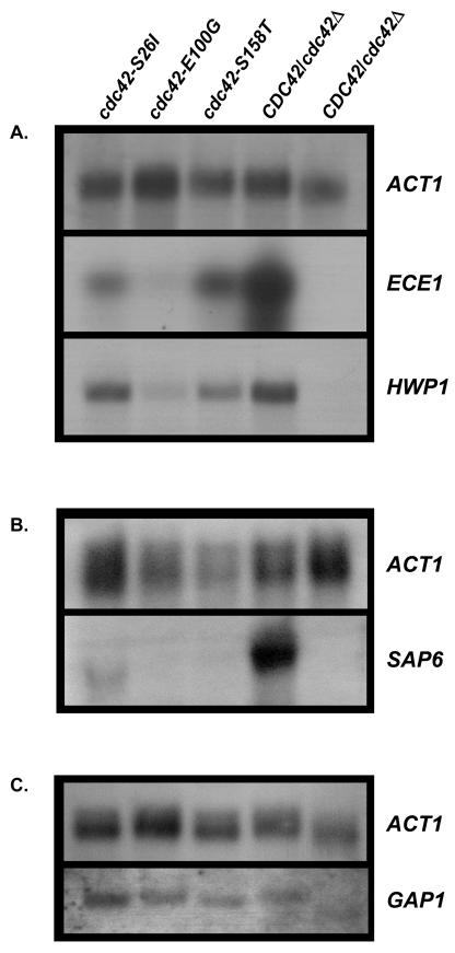 FIG. 5.