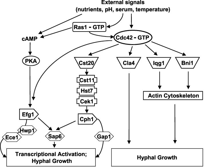 FIG. 6.