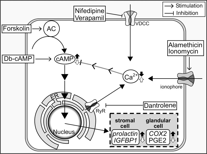 Fig 7