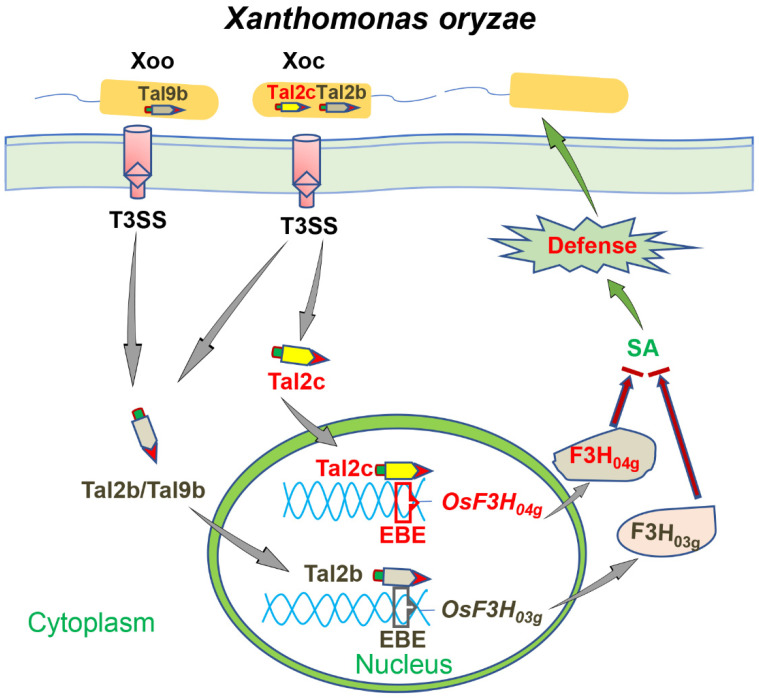 Figure 7