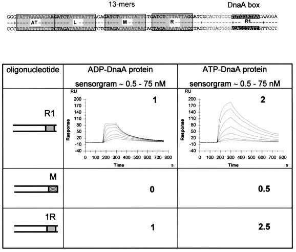 graphic file with name cde139f2.jpg