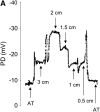 <b>Figure 1.</b>