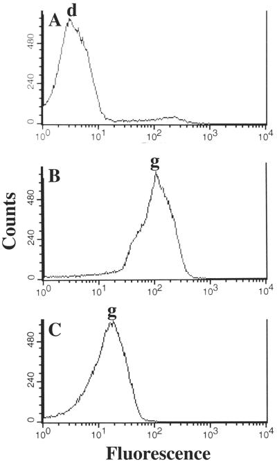 FIG. 1.