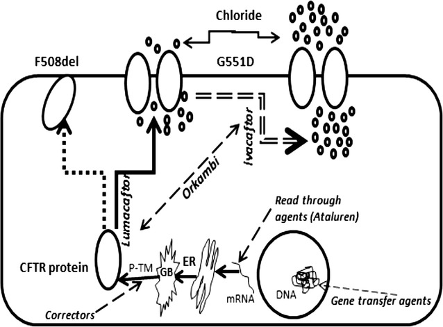 Fig. 2