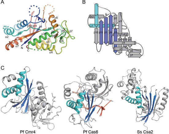 Figure 4.