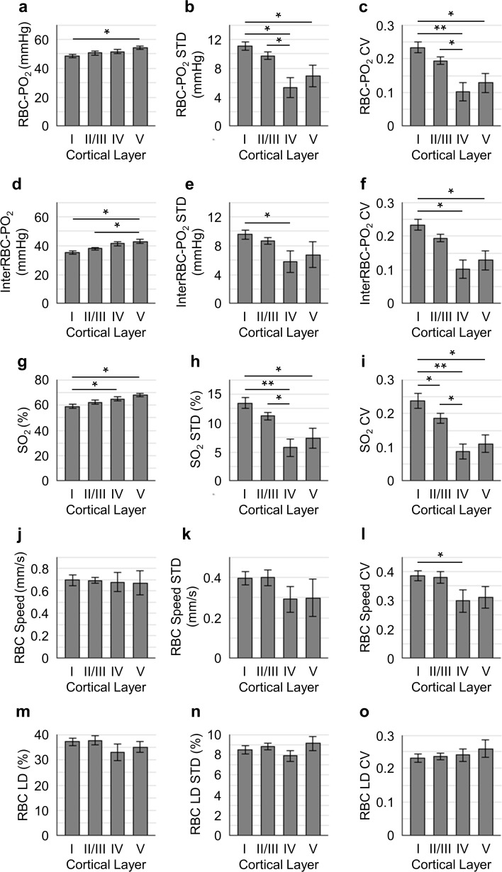 Figure 3—figure supplement 1.