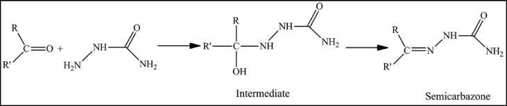 Scheme 8