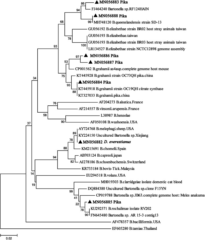 Fig. 2